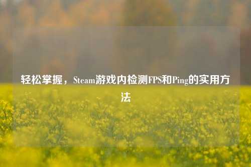 轻松掌握,Steam游戏内检测FPS和Ping的实用方法