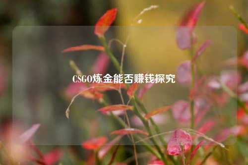 CSGO炼金能否赚钱探究