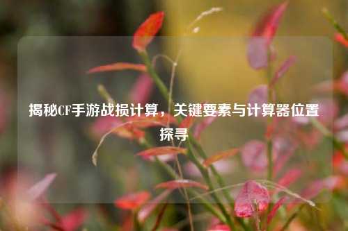揭秘CF手游战损计算,关键要素与计算器位置探寻