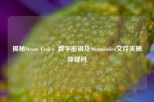 揭秘Steam Code,数字密钥及Steamcodex文件夹删除疑问