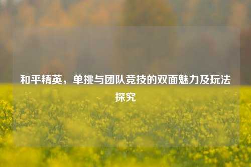 和平精英，单挑与团队竞技的双面魅力及玩法探究