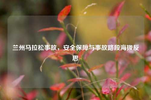 兰州马拉松事故,安全保障与事故路段海拔反思