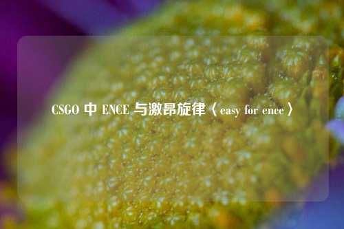 CSGO 中 ENCE 与激昂旋律〈easy for ence〉