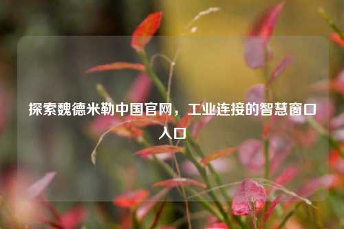 探索魏德米勒中国官网,工业连接的智慧窗口入口