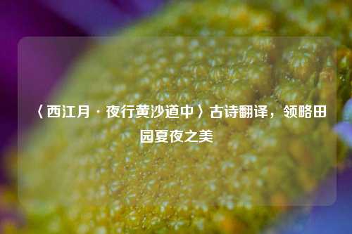 〈西江月·夜行黄沙道中〉古诗翻译,领略田园夏夜之美