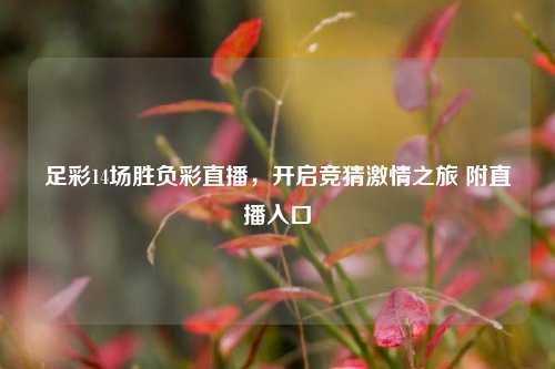足彩14场胜负彩直播,开启竞猜激情之旅 附直播入口
