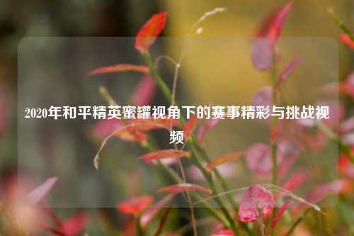 2020年和平精英蜜罐视角下的赛事精彩与挑战视频