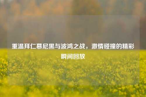 重温拜仁慕尼黑与波鸿之战,激情碰撞的精彩瞬间回放