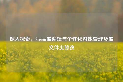 深入探索,Steam库编辑与个性化游戏管理及库文件夹修改