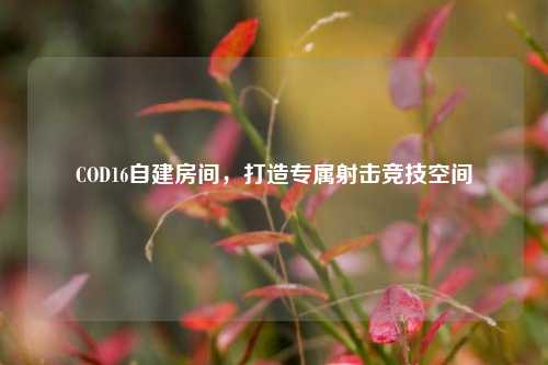 COD16自建房间，打造专属射击竞技空间