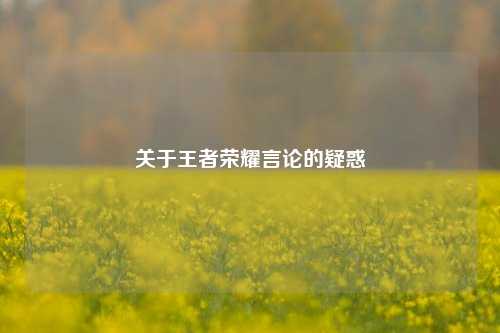 关于王者荣耀言论的疑惑
