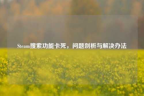 Steam搜索功能卡死,问题剖析与解决办法