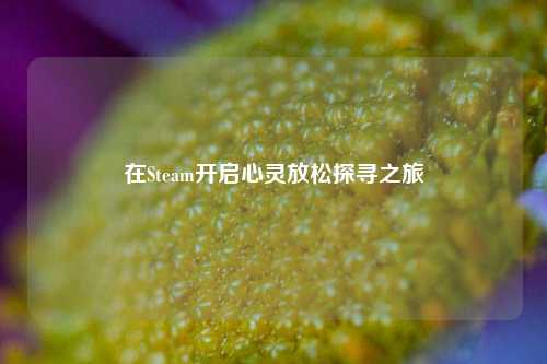 在Steam开启心灵放松探寻之旅