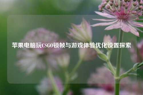 苹果电脑玩CSGO锁帧与游戏体验优化设置探索