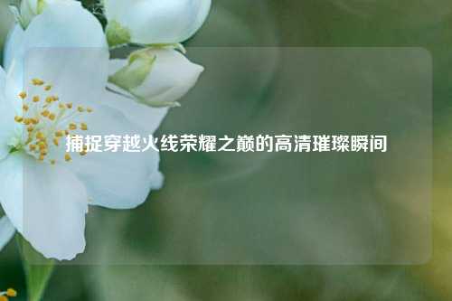 捕捉穿越火线荣耀之巅的高清璀璨瞬间