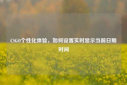 CSGO个性化体验,如何设置实时显示当前日期时间