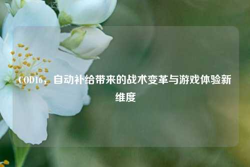 COD16，自动补给带来的战术变革与游戏体验新维度