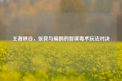 王者峡谷,张良与扁鹊的智谋毒术玩法对决