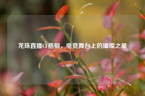 龙珠直播CF梧桐，电竞舞台上的璀璨之星