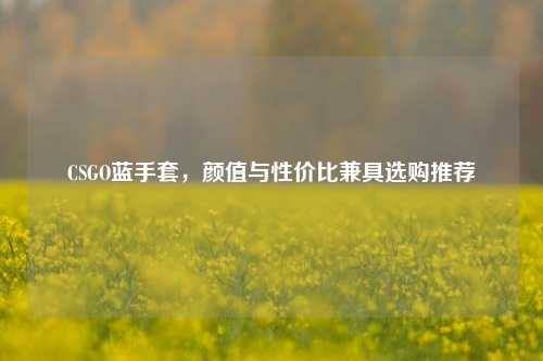 CSGO蓝手套，颜值与性价比兼具选购推荐