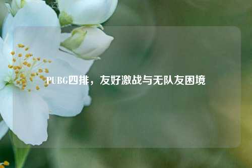 PUBG四排,友好激战与无队友困境