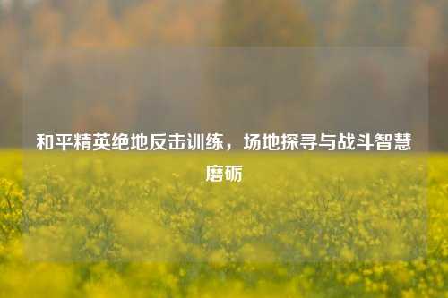 和平精英绝地反击训练,场地探寻与战斗智慧磨砺