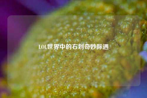 LOL世界中的右划奇妙际遇