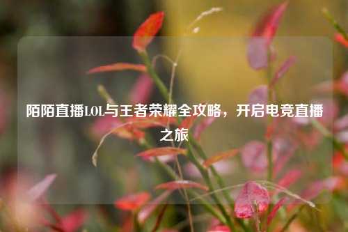 陌陌直播LOL与王者荣耀全攻略,开启电竞直播之旅