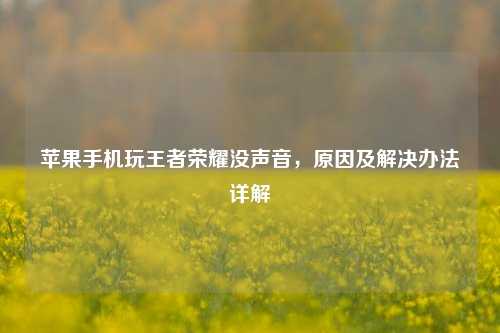 苹果手机玩王者荣耀没声音,原因及解决办法详解