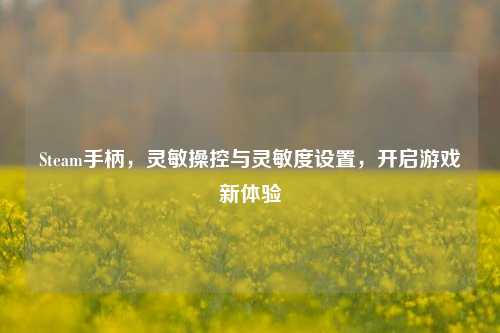 Steam手柄，灵敏操控与灵敏度设置，开启游戏新体验