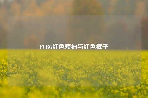 PUBG红色短袖与红色裤子