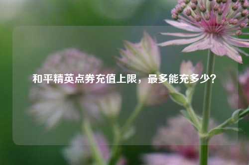 和平精英点券充值上限,最多能充多少?