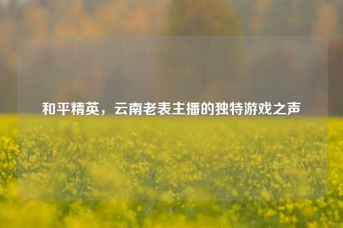 和平精英,云南老表主播的独特游戏之声