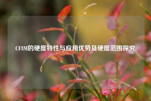 CF8M的硬度特性与应用优势及硬度范围探究