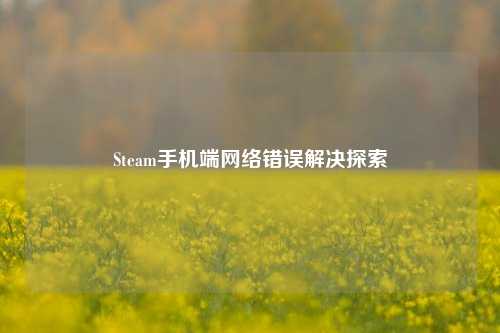 Steam手机端网络错误解决探索