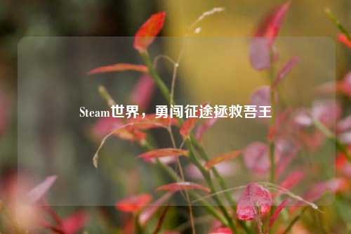Steam世界,勇闯征途拯救吾王