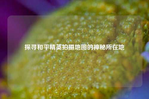 探寻和平精英拍摄地图的神秘所在地