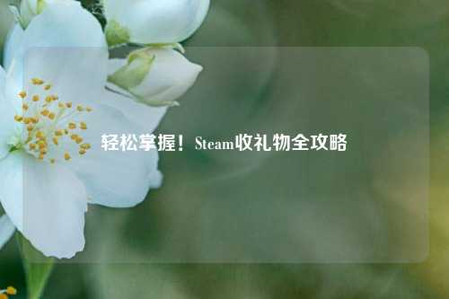 轻松掌握!Steam收礼物全攻略