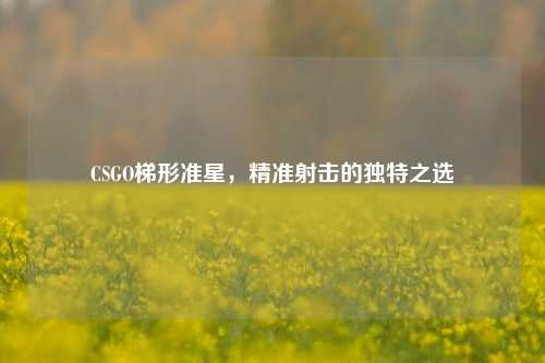 CSGO梯形准星,精准射击的独特之选