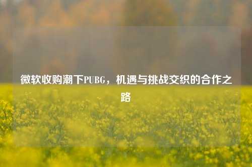 微软收购潮下PUBG，机遇与挑战交织的合作之路