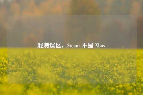 混淆误区，Steam 不是 Xbox