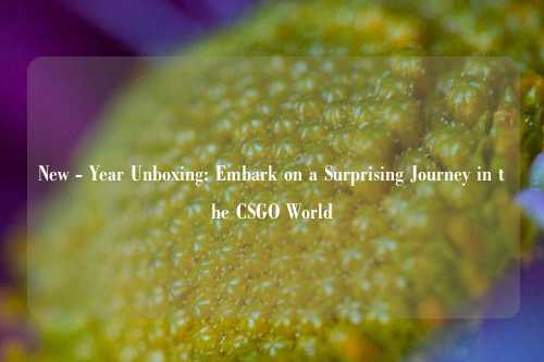 New - Year Unboxing: Embark on a Surprising Journey in the CSGO World