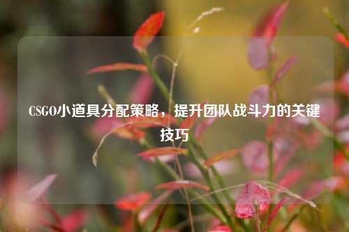 CSGO小道具分配策略,提升团队战斗力的关键技巧