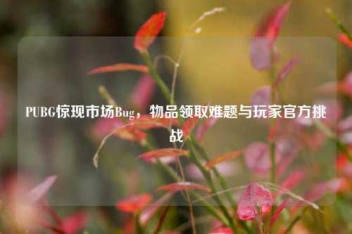 PUBG惊现市场Bug,物品领取难题与玩家官方挑战