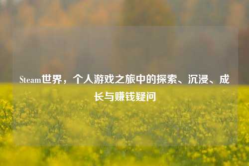 Steam世界,个人游戏之旅中的探索、沉浸、成长与赚钱疑问