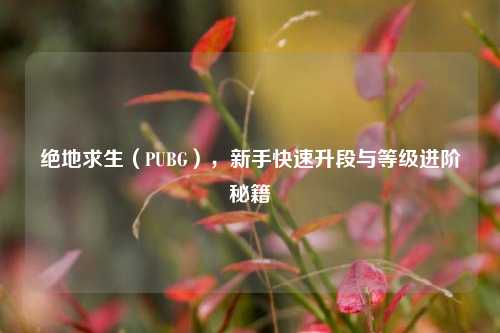 绝地求生(PUBG),新手快速升段与等级进阶秘籍