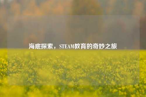 海底探索，STEAM教育的奇妙之旅