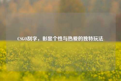 CSGO刮字,彰显个性与热爱的独特玩法