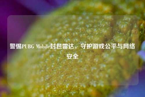 警惕PUBG Mobile封包雷达,守护游戏公平与网络安全