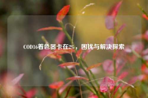COD16着色器卡在2%,困扰与解决探索